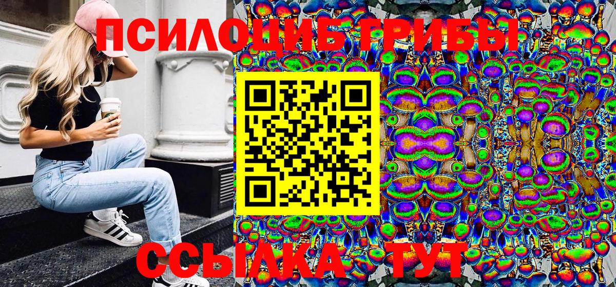 Псилоцибиновые грибы MAGIC MUSHROOMS  Вход с VPN  Псилоцибиновые грибы прущие грибы  Карачаевск 