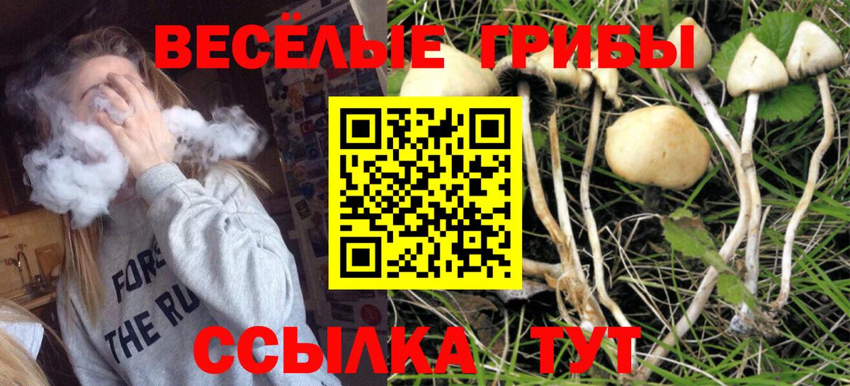 Галлюциногенные грибы мицелий Карачаевск