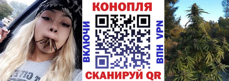 Канабис AK-47  купить закладку  Карачаевск 